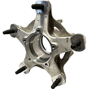 Bert CTD Wide Five Rear Hub, Silver, No Bearings, No Drive Flange