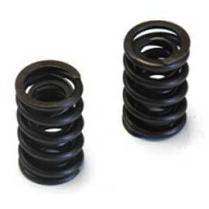 Valve Springs