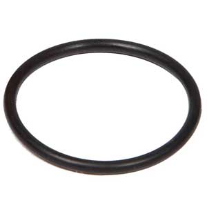 DMI Large Inspection Plug O-Ring