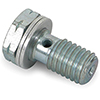 Earls 10Mm -Ec Banjo Bolt -8Mm Thick