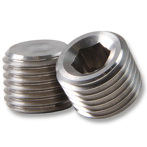 Earls 1/4 Npt Plug Stainless Steel