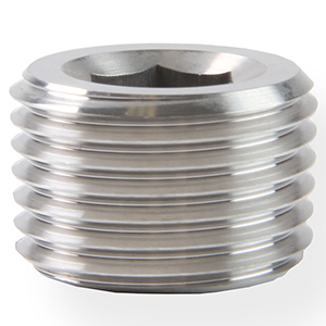 Earls 3/4 Npt Plug Stainless Steel