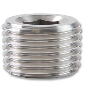 Earls 1/2 Npt Plug Stainless Steel