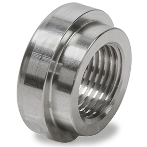 Earls O2 Sensor Weld Boss Ss