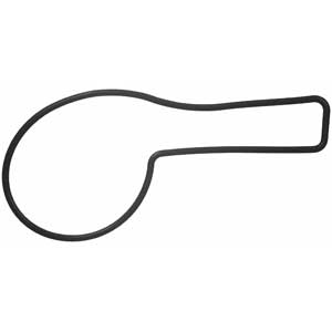 Engine Water Pump Gasket