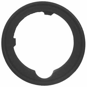 Engine Coolant Thermostat Housing Gasket