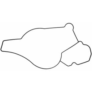 Engine Water Pump Gasket