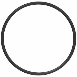 Engine Crankcase Vent O-Ring