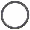 Engine Crankcase Vent O-Ring