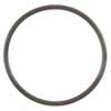 Engine Crankcase Vent O-Ring