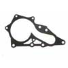 Engine Water Pump Gasket