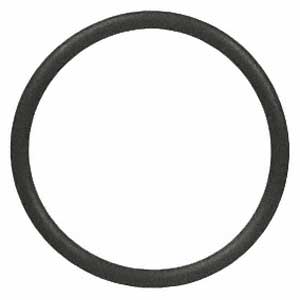 Engine Crankcase Vent O-Ring