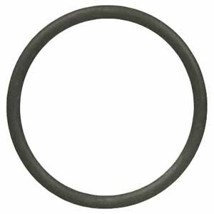Engine Crankcase Vent O-Ring