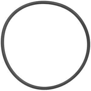 Engine Crankcase Vent O-Ring