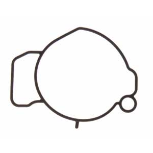 Fuel Injection Throttle Body Mounting Gasket
