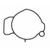 Fuel Injection Throttle Body Mounting Gasket