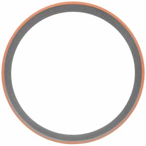 Engine Crankshaft Seal Kit