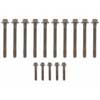 Engine Cylinder Head Bolt Set