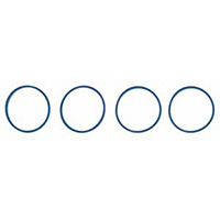 Engine Intake Manifold Gasket Set