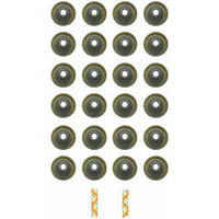Engine Valve Stem Seal Set