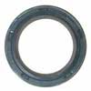 Engine Crankshaft Seal Kit