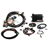 Holley 550-602N Hp Ecu and Harness, Ls1/6, Ntk