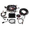 Holley 550-607 Hp Ecu and Harness, Ls2/3/7, Bosch Inj