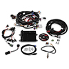 Holley 550-607N Hp Ecu and Harness, Ls2/3/7, Bosch Inj, Ntk