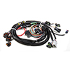 Holley 558-101 Tpi/stealthram Main Harness