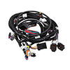 Holley 558-112 Main Harness, Terminator Tbi, Lsx, 58x