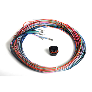 Holley 558-402 J2b Connector & Harness