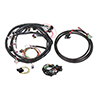 Holley 558-508 Harness Kit, Universal Ford V8