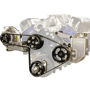 Jones Sbf: Wp Ps and Alt. Complete Drive System Wp Sold Separately (Built-In Ps Tnk)