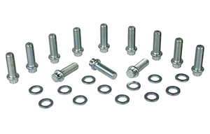 MOROSO 38400 CHEVY INTAKE MANIFOLD BOLTS