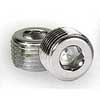 PLUGS, CHROME