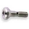 HOLLEY HI-FLOW SQUIRTER