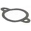 GASKET, FLAT, REPLACEMENT