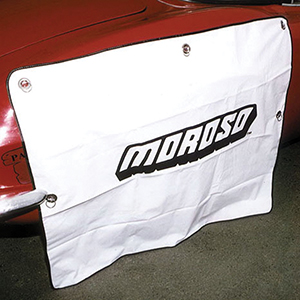 TIRE COVER, WITH SUCTION CUPS