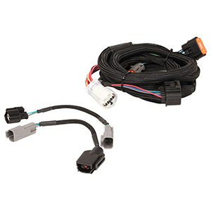 MSD Harness for Ford (4R70W/75W 98-Up)