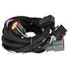 MSD Harness for Ford (4R100 1998-Up)