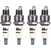 MSD Iridium Spark Plug 13IR6Y Set of 4
