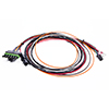 MSD Ignition WIring Harness for PN 6430