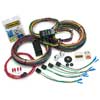 Painless Customizable Ford Color Coded Chassis Harness - 21 Circuits