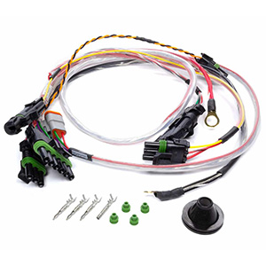 QuickCar Spec Asphalt Late Model Harness