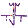 Jr L And L 5Pt Harness Purple