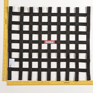 21 X 24 SFI Ribbon Net  Black
