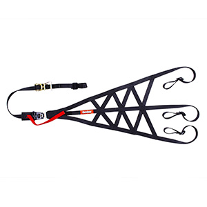 RaceQuip Right Side Triangle Roll Cage Net w/Quick Release; SFI 37.1 Certified; Black