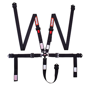 RaceQuip Camlock 5 Point 2" Auto Racing Harness Set; Pull-Down Lap; SFI 16.1 Seat Belt Set; Black