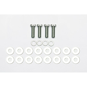 BOLT KIT,CALIPER MT,DL/DLS,3/8-24 LWD