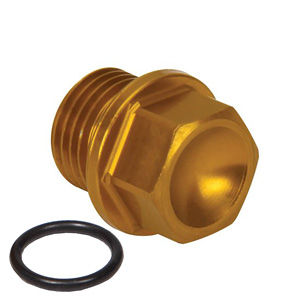 DMI Fill Level Plug w/ O-Ring